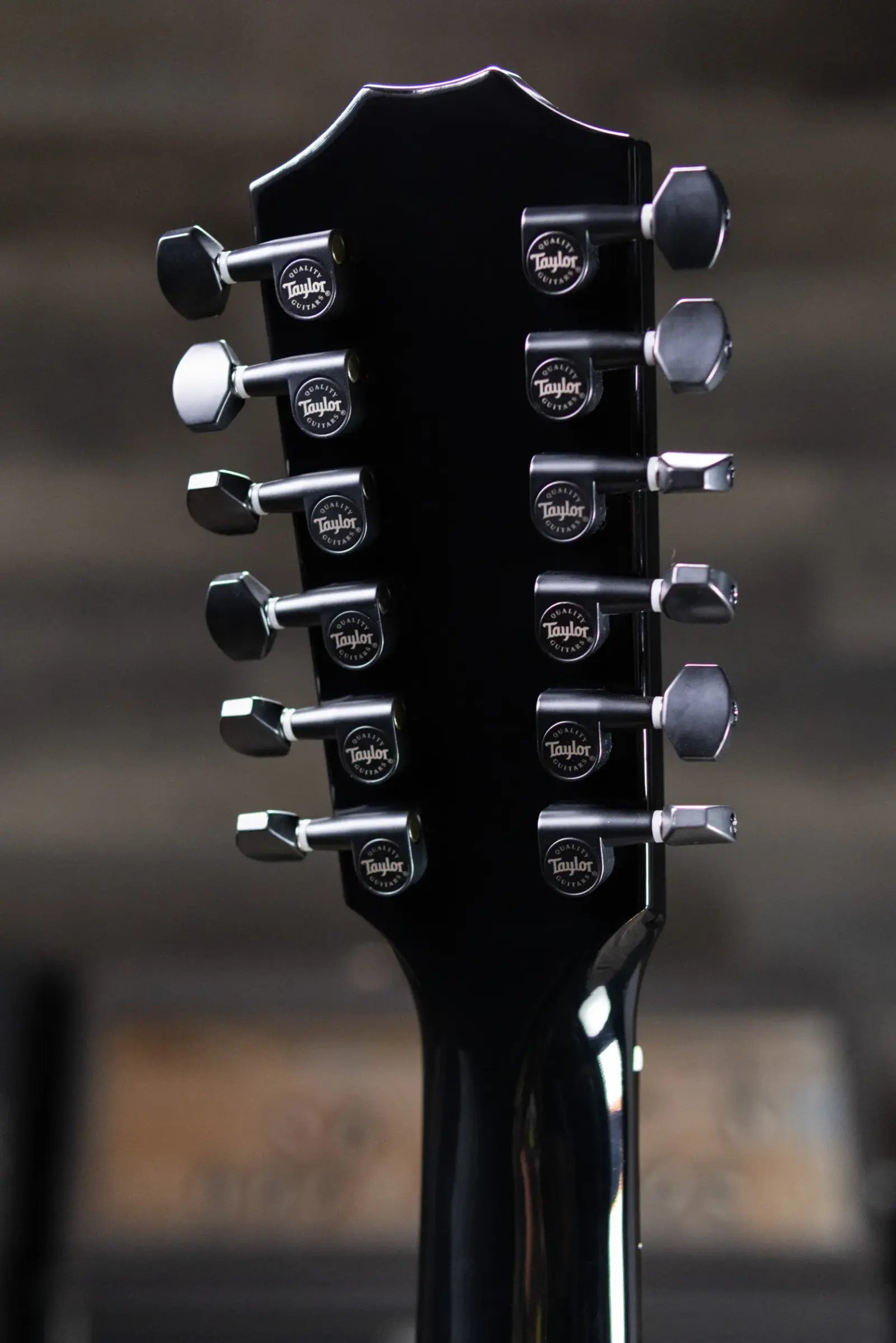 Taylor 250ce Plus BLK Doce Doble Acoustic/Electric Guitar - Black with Aerocase - Factory Demo