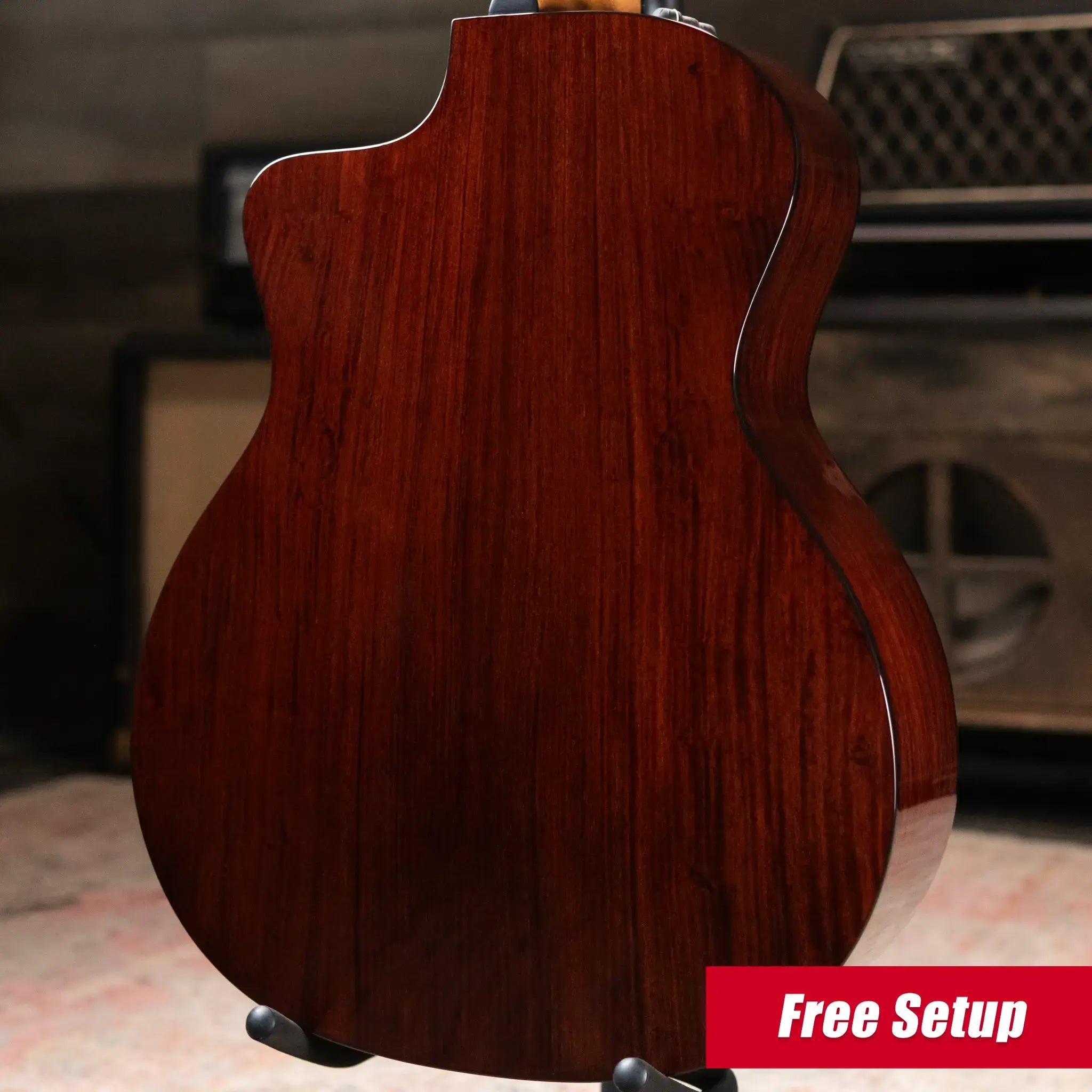 Taylor 254ce Plus 12-String Grand Auditorium Acoustic/Electric Guitar with Aerocase