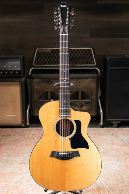 Taylor 254ce Plus 12-String Grand Auditorium Acoustic/Electric Guitar with Aerocase