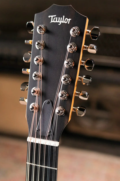 Taylor 254ce Plus 12-String Grand Auditorium Acoustic/Electric Guitar with Aerocase