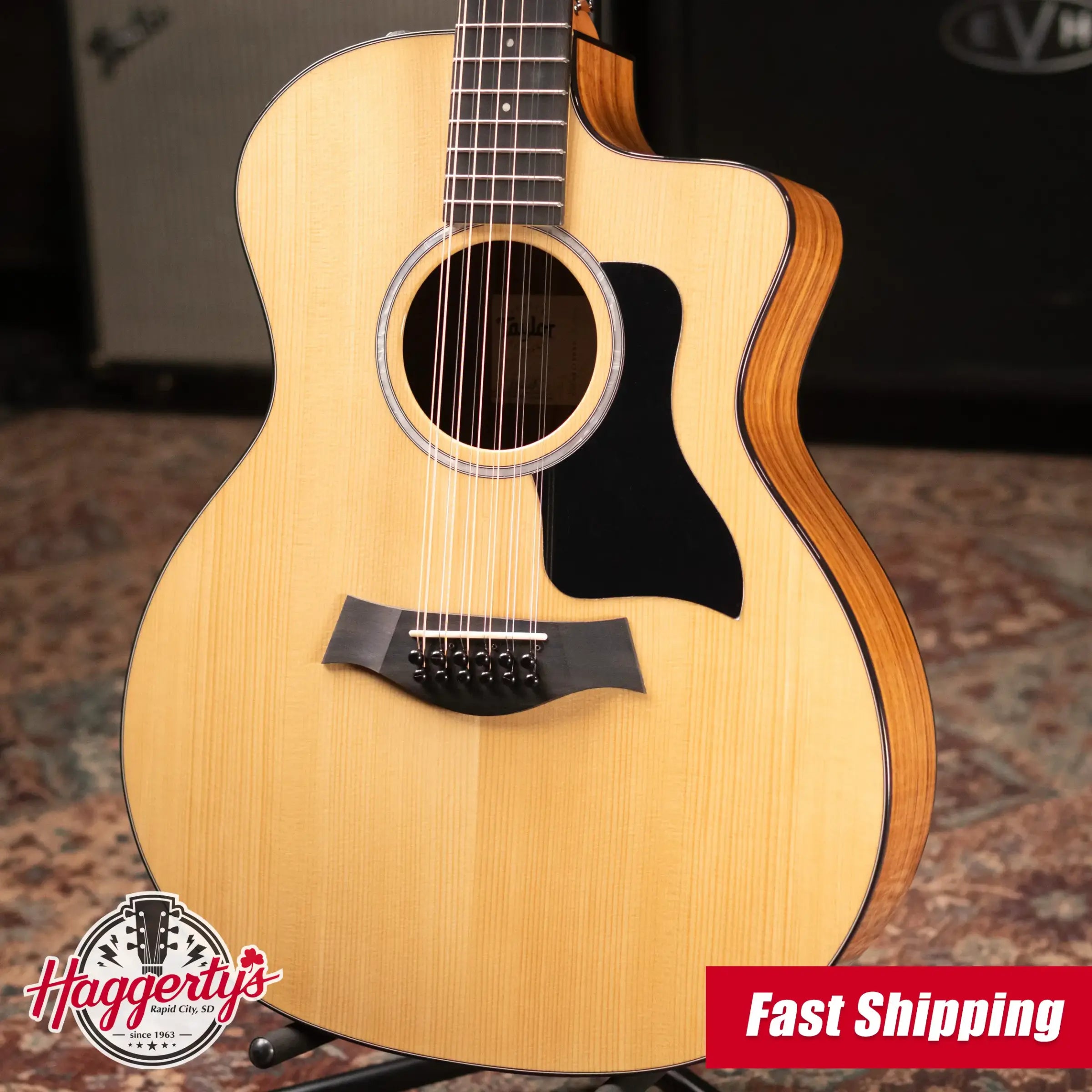 Taylor 254ce Plus 12-String Grand Auditorium Acoustic/Electric Guitar with Aerocase