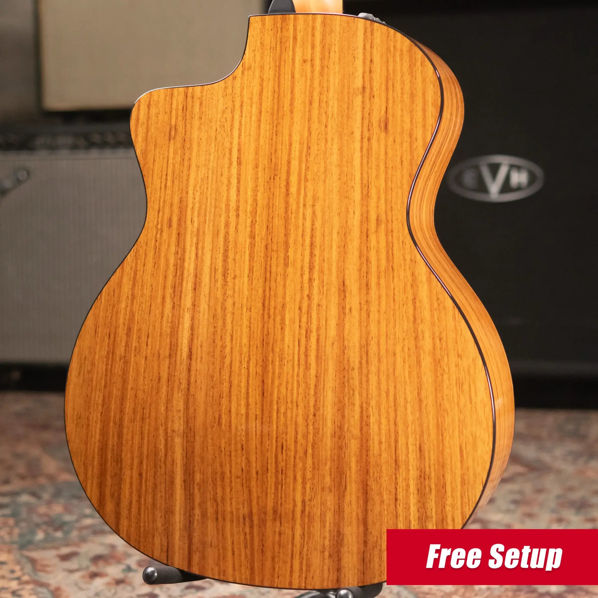 Taylor 254ce Plus 12-String Grand Auditorium Acoustic/Electric Guitar with Aerocase