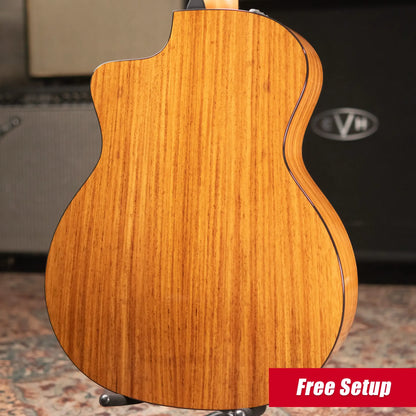 Taylor 254ce Plus 12-String Grand Auditorium Acoustic/Electric Guitar with Aerocase