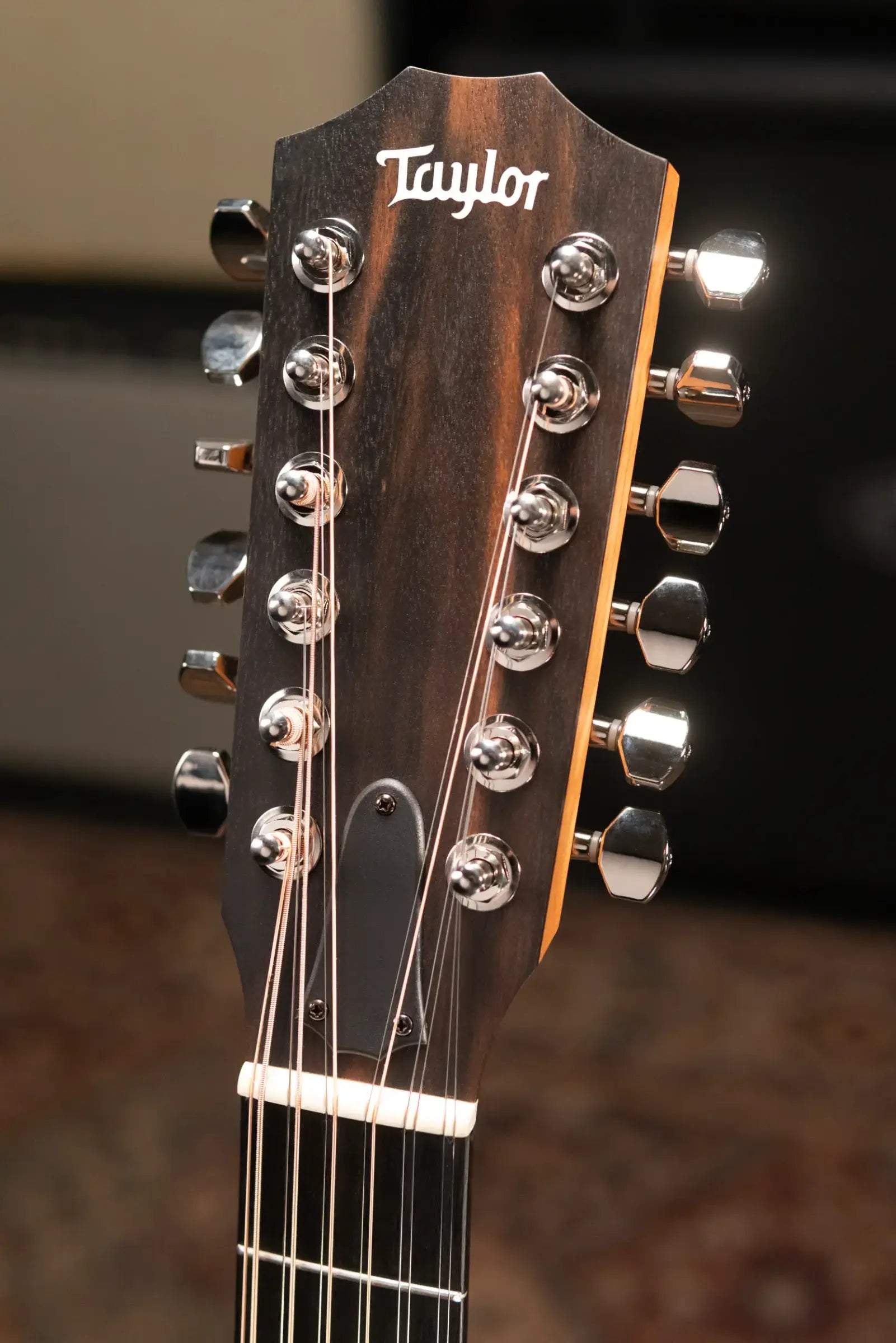 Taylor 254ce Plus 12-String Grand Auditorium Acoustic/Electric Guitar with Aerocase
