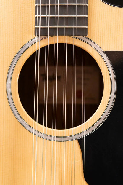 Taylor 254ce Plus 12-String Grand Auditorium Acoustic/Electric Guitar with Aerocase