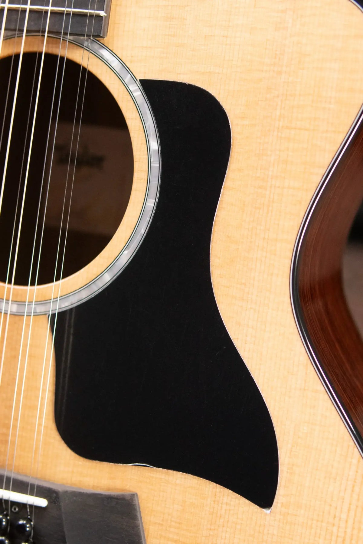 Taylor 254ce Plus 12-String Grand Auditorium Acoustic/Electric Guitar with Aerocase