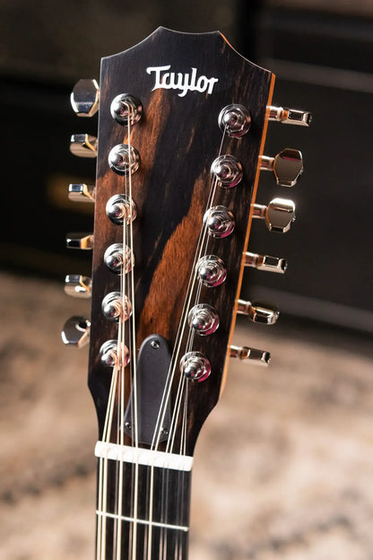 Taylor 254ce Plus 12-String Grand Auditorium Acoustic/Electric Guitar with Aerocase