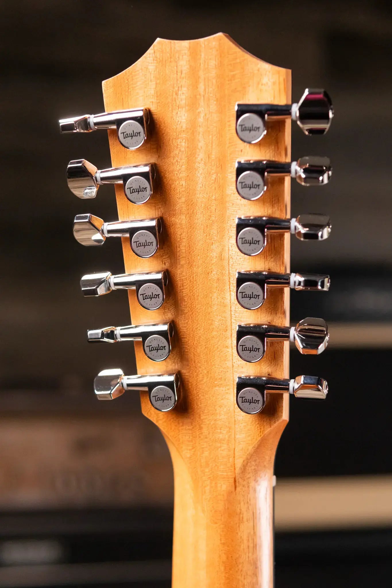 Taylor 254ce Plus 12-String Grand Auditorium Acoustic/Electric Guitar with Aerocase