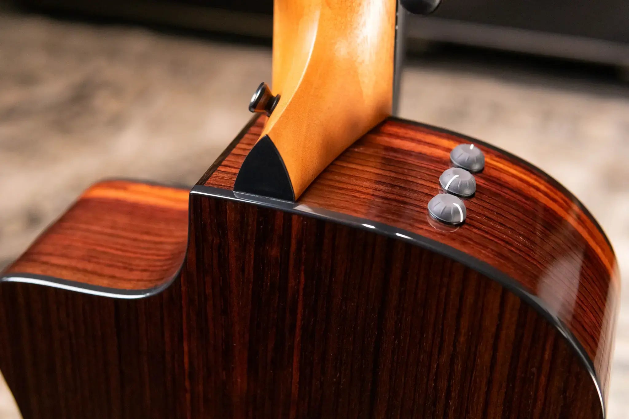 Taylor 254ce Plus 12-String Grand Auditorium Acoustic/Electric Guitar with Aerocase