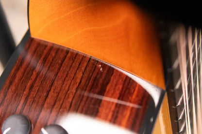 Taylor 254ce Plus 12-String Grand Auditorium Acoustic/Electric Guitar with Aerocase