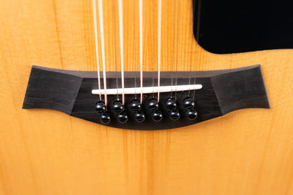 Taylor 254ce Plus 12-String Grand Auditorium Acoustic/Electric Guitar with Aerocase