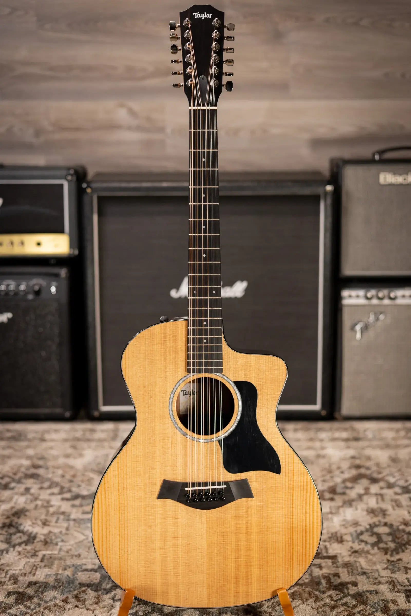 Taylor 254ce Plus 12-String Grand Auditorium Acoustic/Electric Guitar with Aerocase