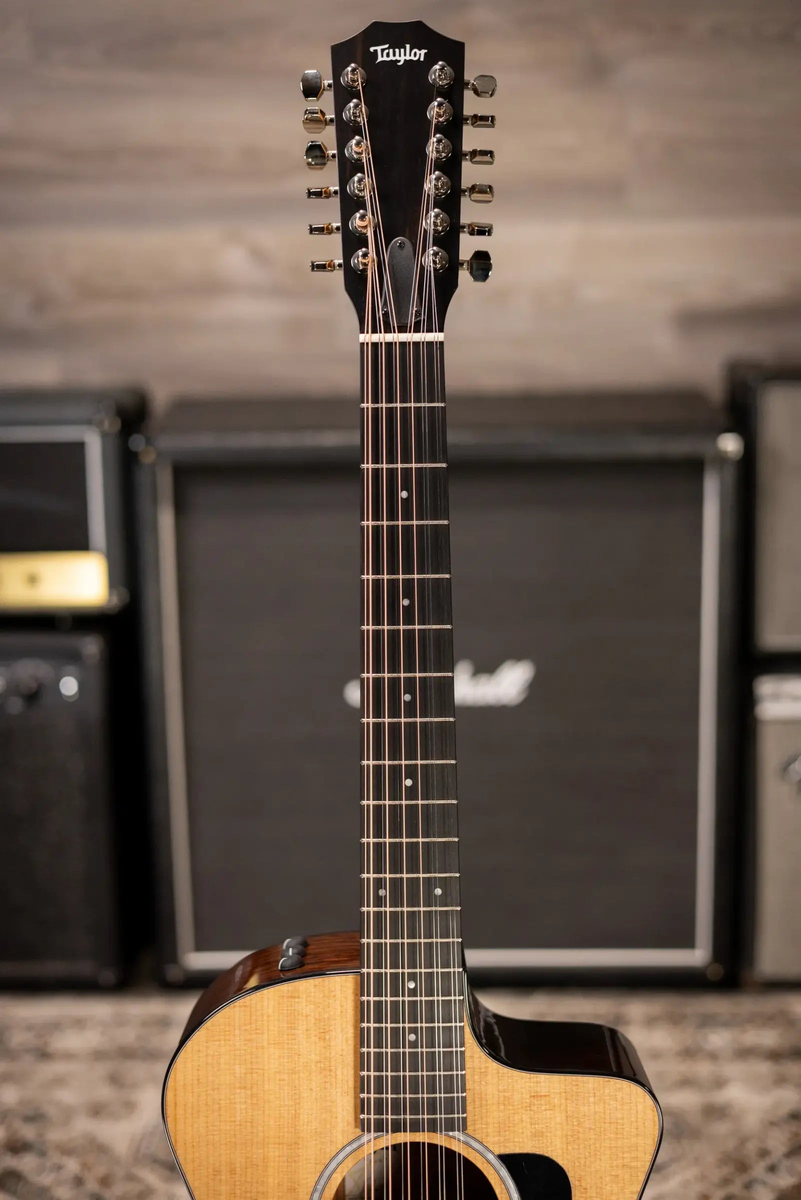 Taylor 254ce Plus 12-String Grand Auditorium Acoustic/Electric Guitar with Aerocase