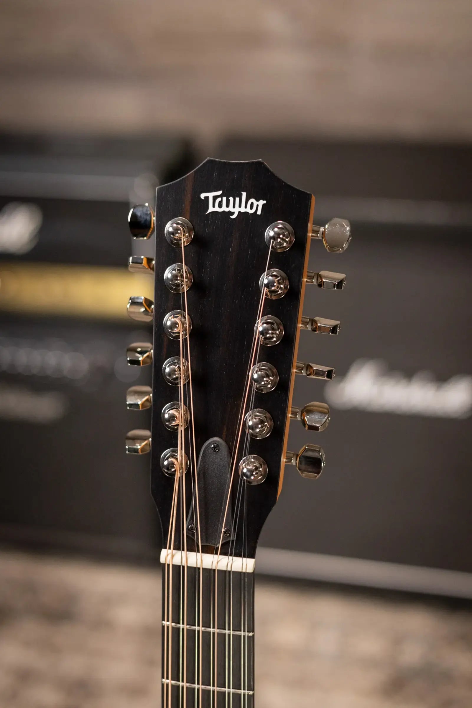 Taylor 254ce Plus 12-String Grand Auditorium Acoustic/Electric Guitar with Aerocase