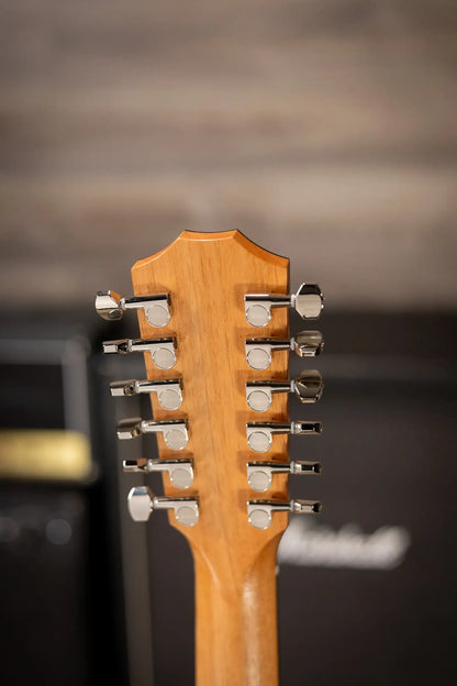 Taylor 254ce Plus 12-String Grand Auditorium Acoustic/Electric Guitar with Aerocase