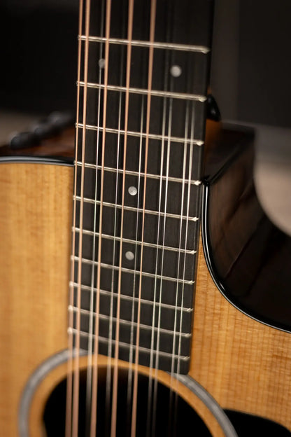 Taylor 254ce Plus 12-String Grand Auditorium Acoustic/Electric Guitar with Aerocase