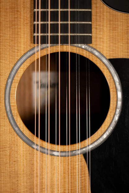 Taylor 254ce Plus 12-String Grand Auditorium Acoustic/Electric Guitar with Aerocase