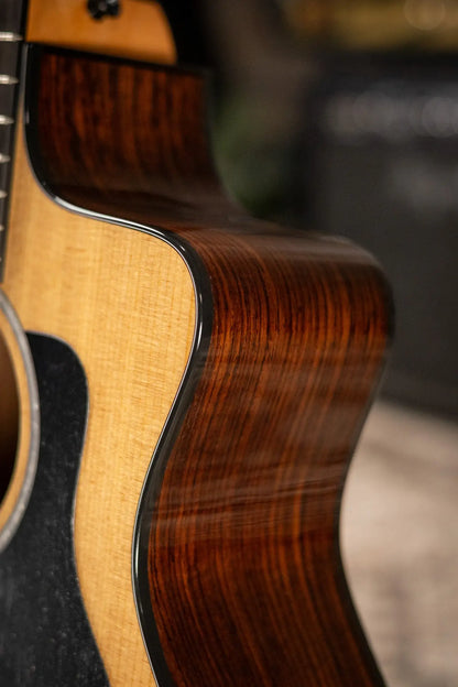 Taylor 254ce Plus 12-String Grand Auditorium Acoustic/Electric Guitar with Aerocase