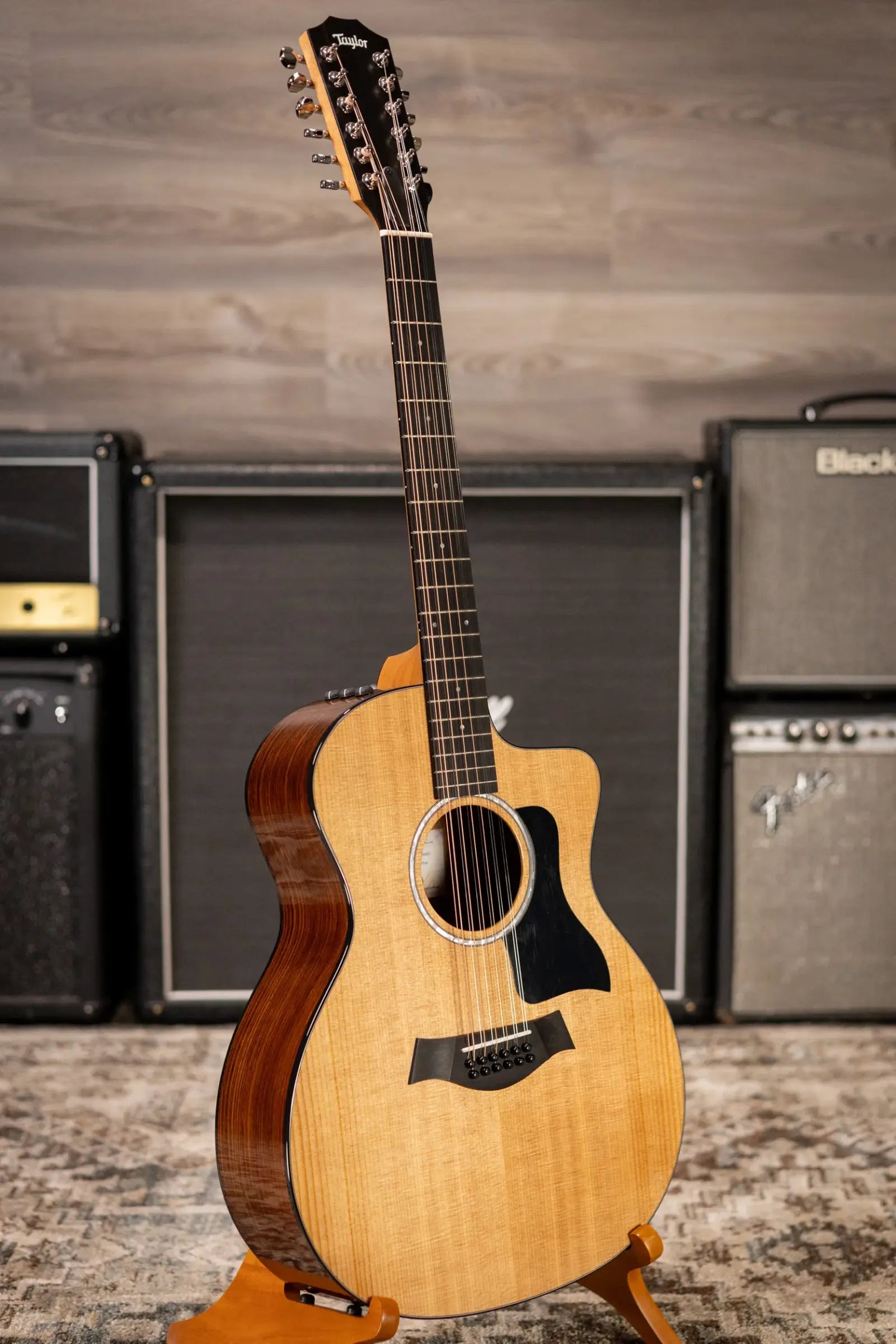 Taylor 254ce Plus 12-String Grand Auditorium Acoustic/Electric Guitar with Aerocase