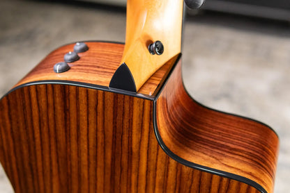 Taylor 254ce Plus Left-Hand 12-String Grand Auditorium Acoustic/Electric Guitar with Aerocase