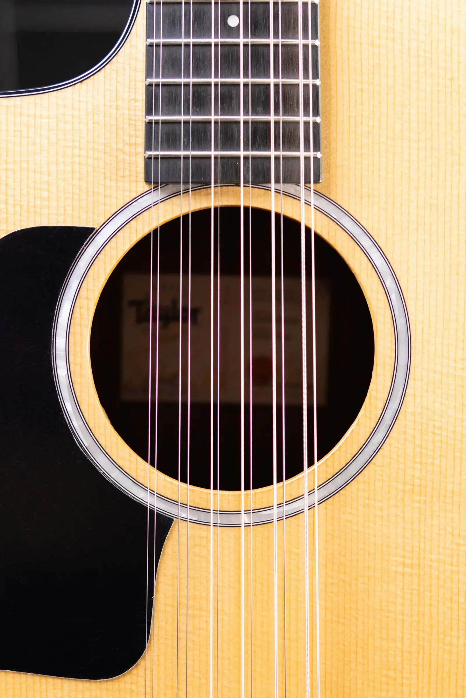 Taylor 254ce Plus Left-Hand 12-String Grand Auditorium Acoustic/Electric Guitar with Aerocase
