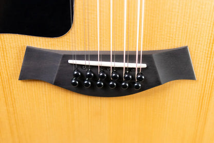 Taylor 254ce Plus Left-Hand 12-String Grand Auditorium Acoustic/Electric Guitar with Aerocase