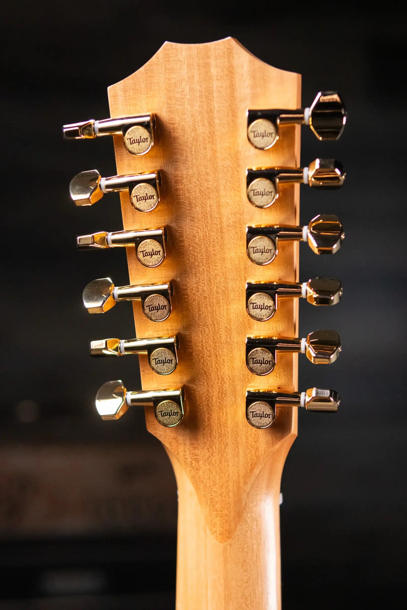 Taylor 260ce-K DLX Doce Doble Acoustic/Electric Guitar with Hardshell Case - Factory Demo
