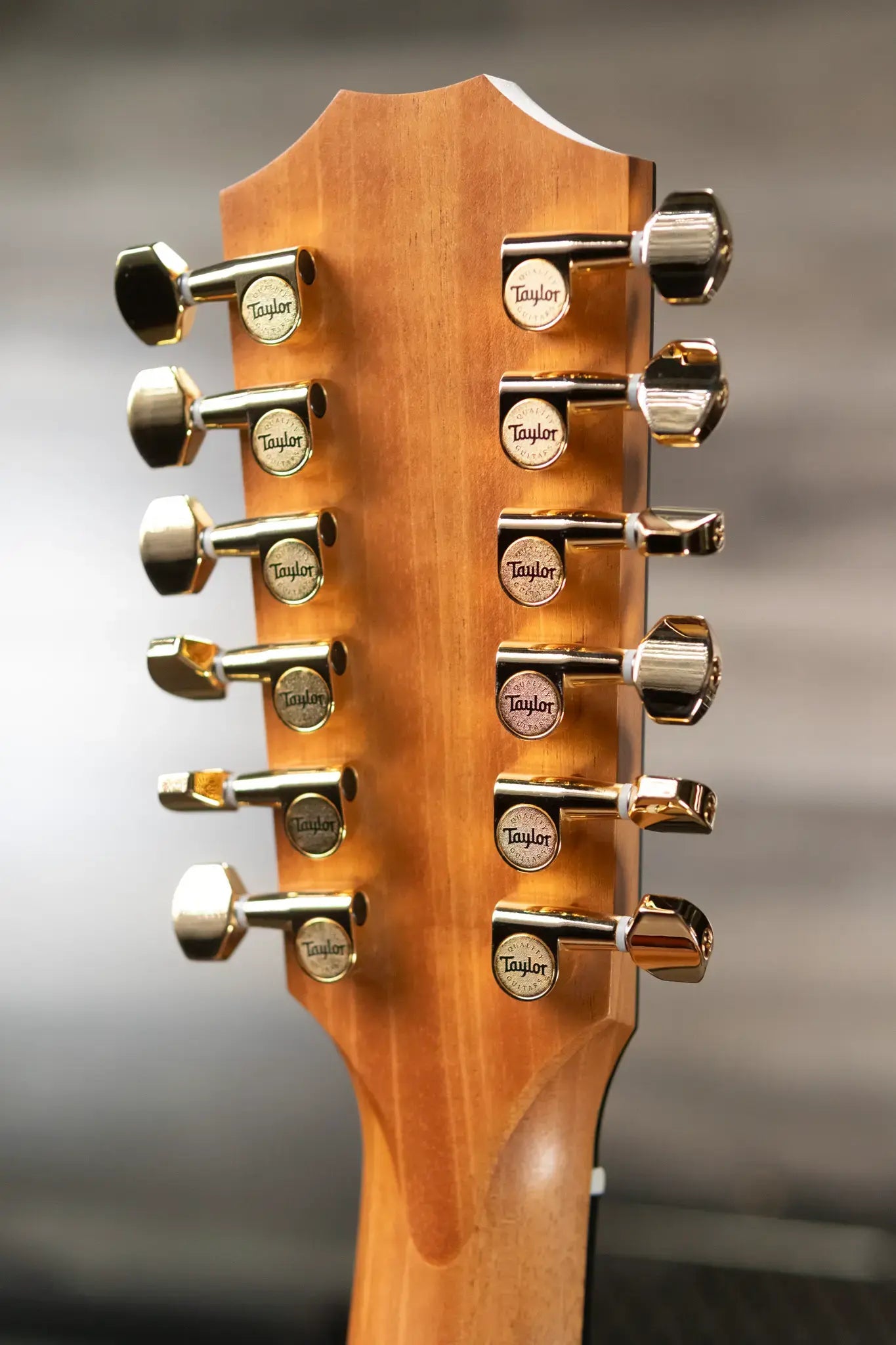 Taylor 264ce-K DLX 12-String Grand Auditorium Acoustic/Electric Guitar with Hardshell Case