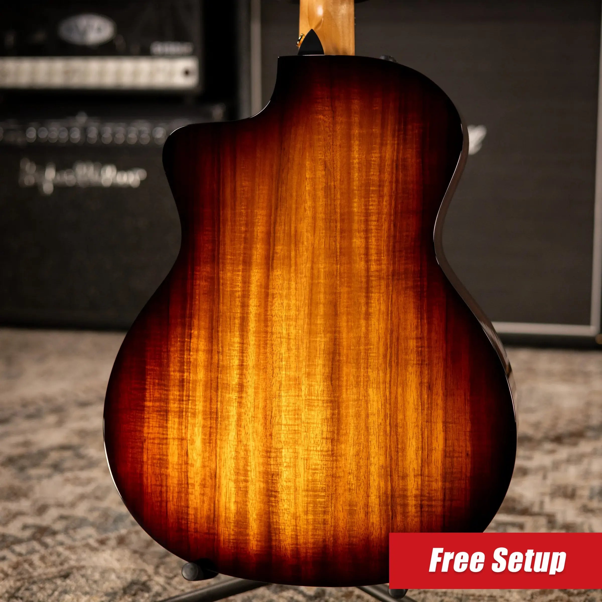 Taylor 264ce-K DLX 12-String Grand Auditorium Acoustic/Electric Guitar with Hardshell Case