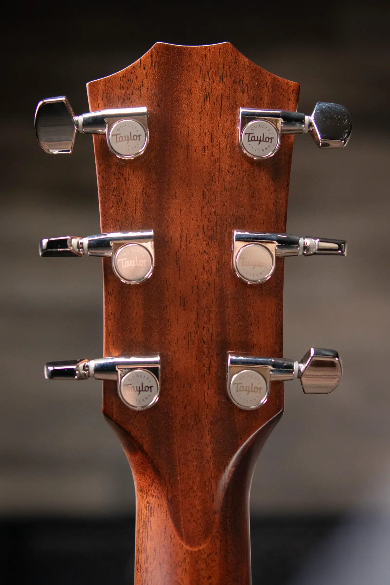 Taylor 312ce Grand Concert Acoustic/Electric Guitar with Hardshell Case