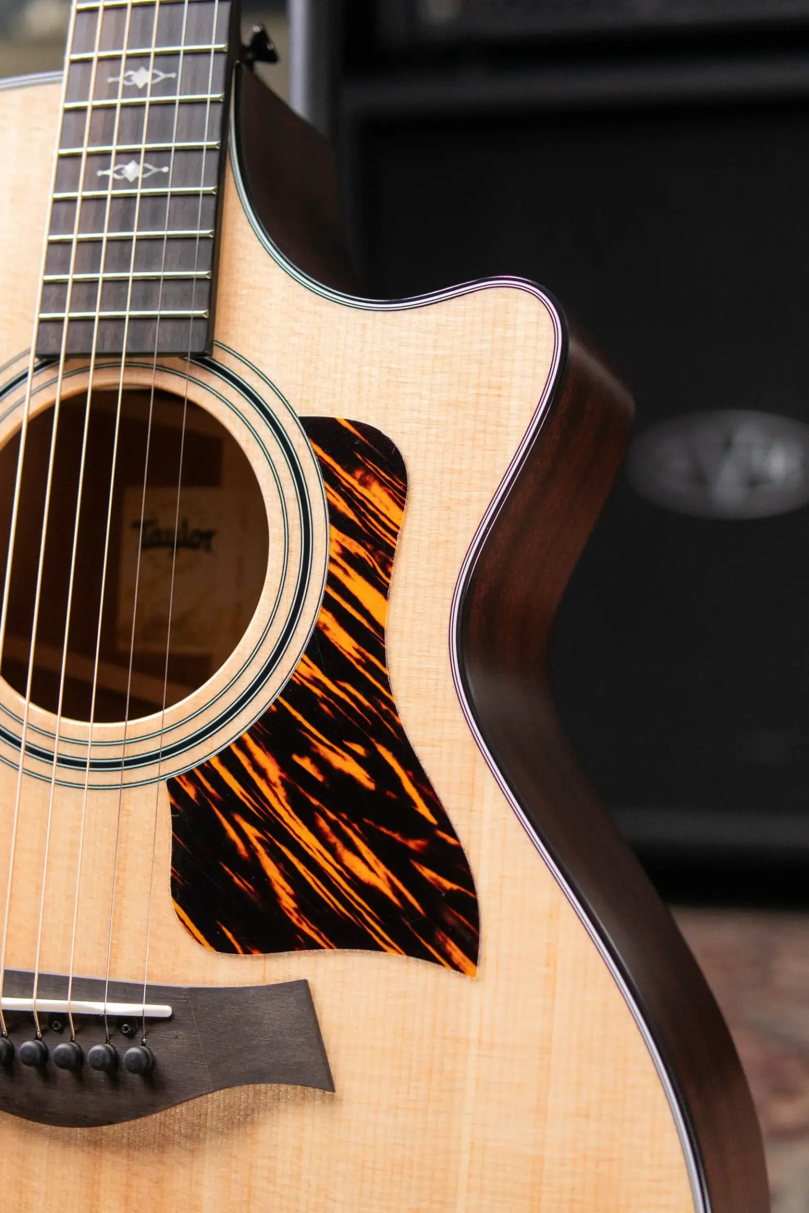 Taylor 312ce Grand Concert Acoustic/Electric Guitar with Hardshell Case