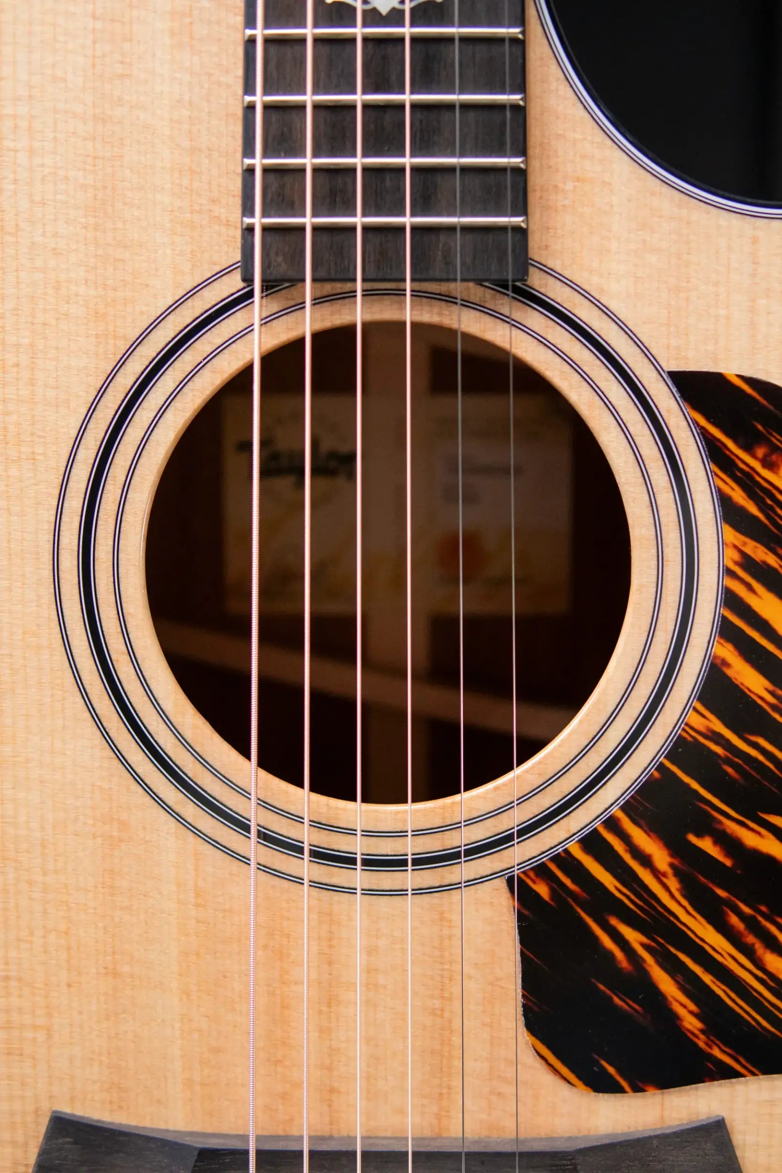 Taylor 312ce Grand Concert Acoustic/Electric Guitar with Hardshell Case