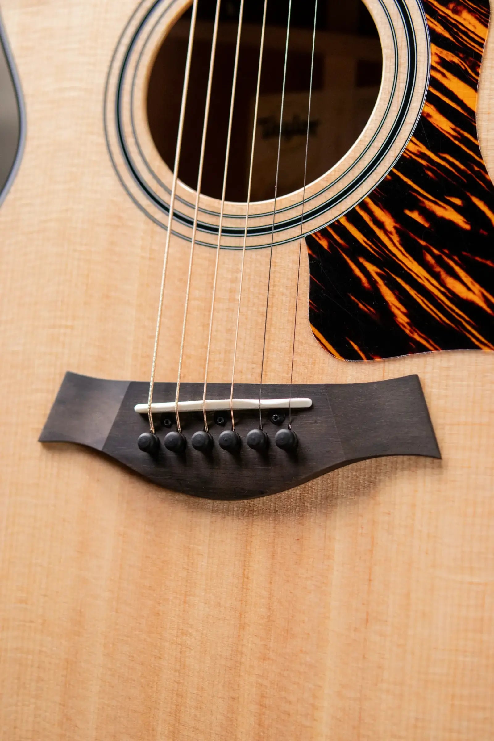 Taylor 312ce Grand Concert Acoustic/Electric Guitar with Hardshell Case