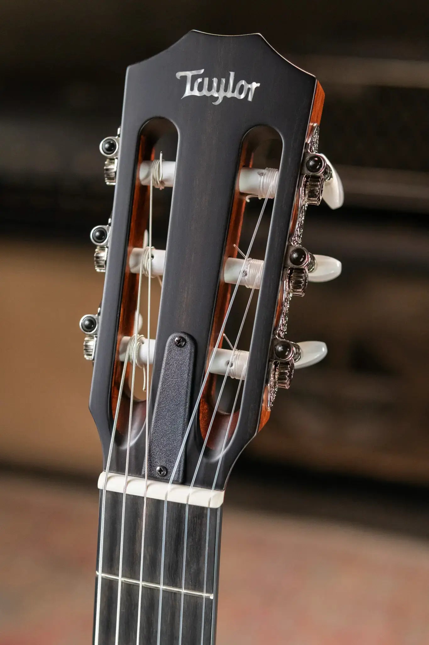 Taylor 312ce-N Nylon Grand Concert Acoustic/Electric Guitar with Hardshell Case