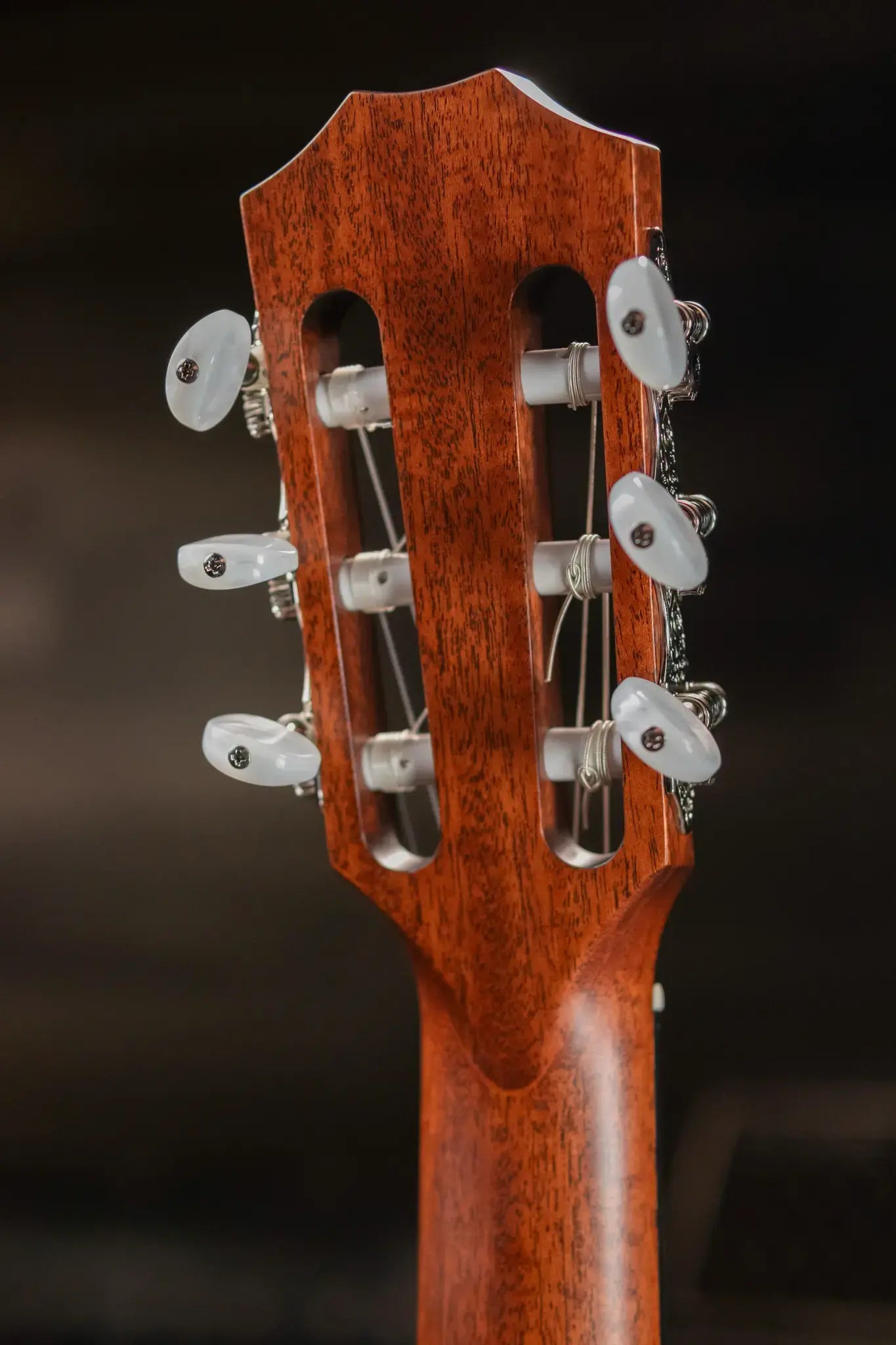 Taylor 312ce-N Nylon Grand Concert Acoustic/Electric Guitar with Hardshell Case