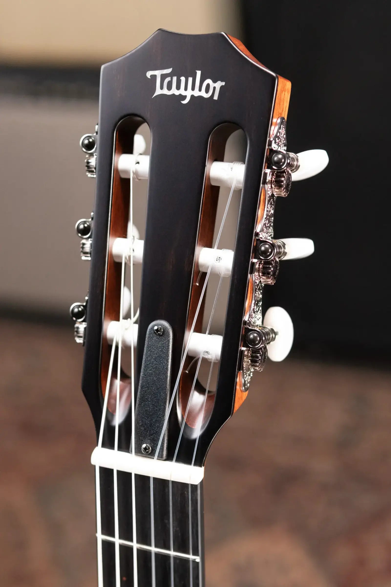 Taylor 312ce-N Nylon Grand Concert Acoustic/Electric Guitar with Hardshell Case