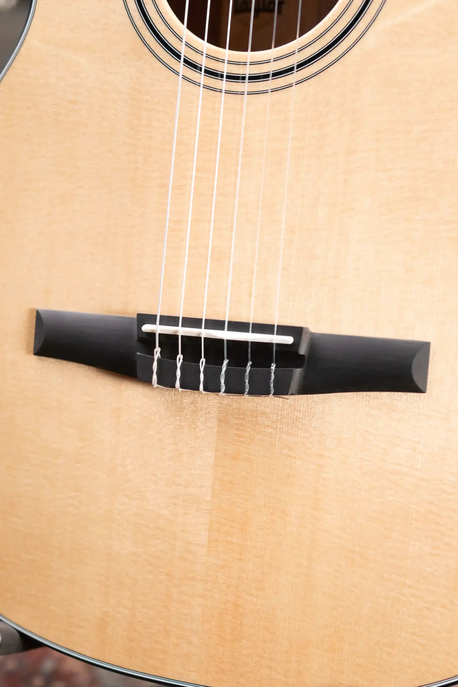 Taylor 312ce-N Nylon Grand Concert Acoustic/Electric Guitar with Hardshell Case