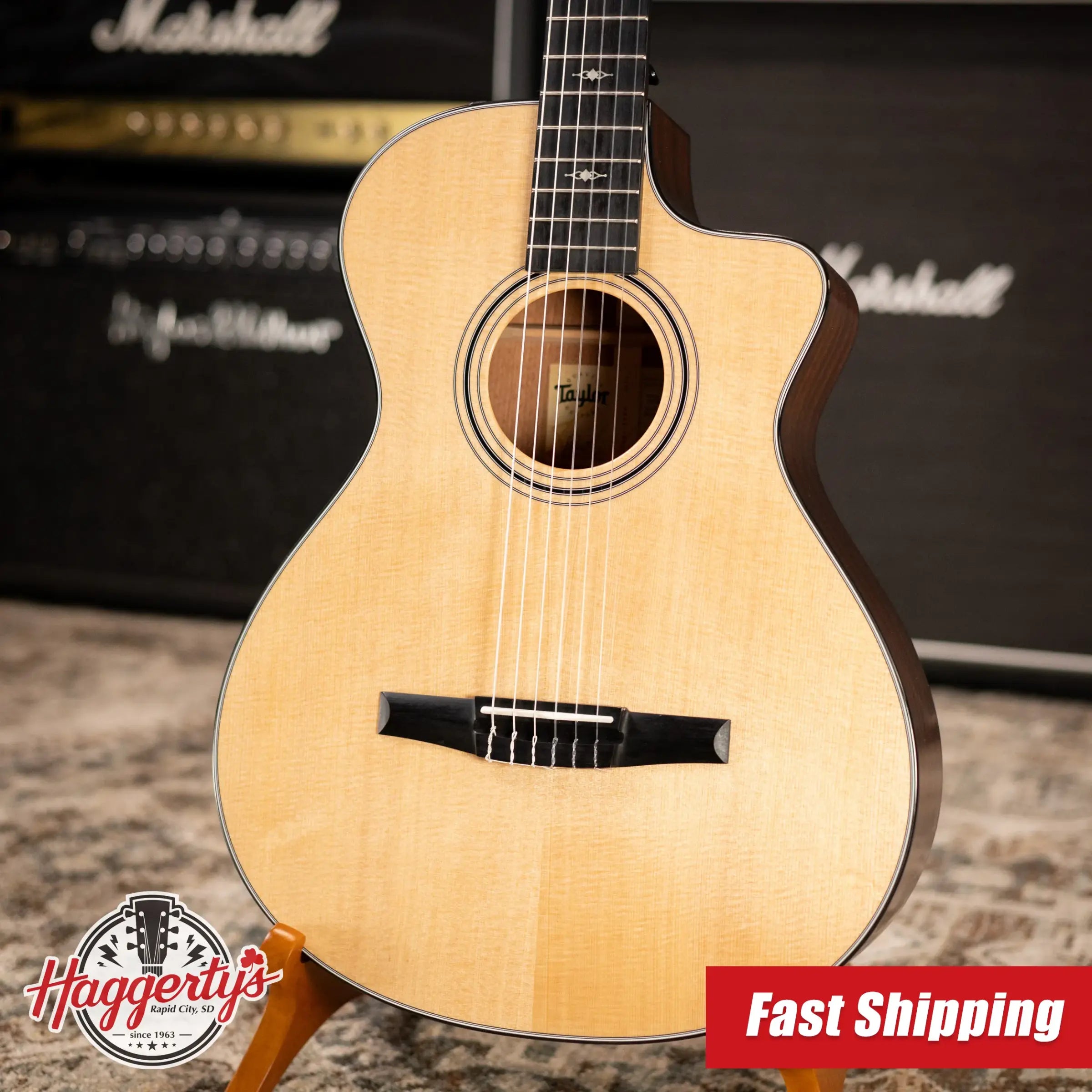 Taylor 312ce-N Nylon Grand Concert Acoustic/Electric Guitar with Hardshell Case