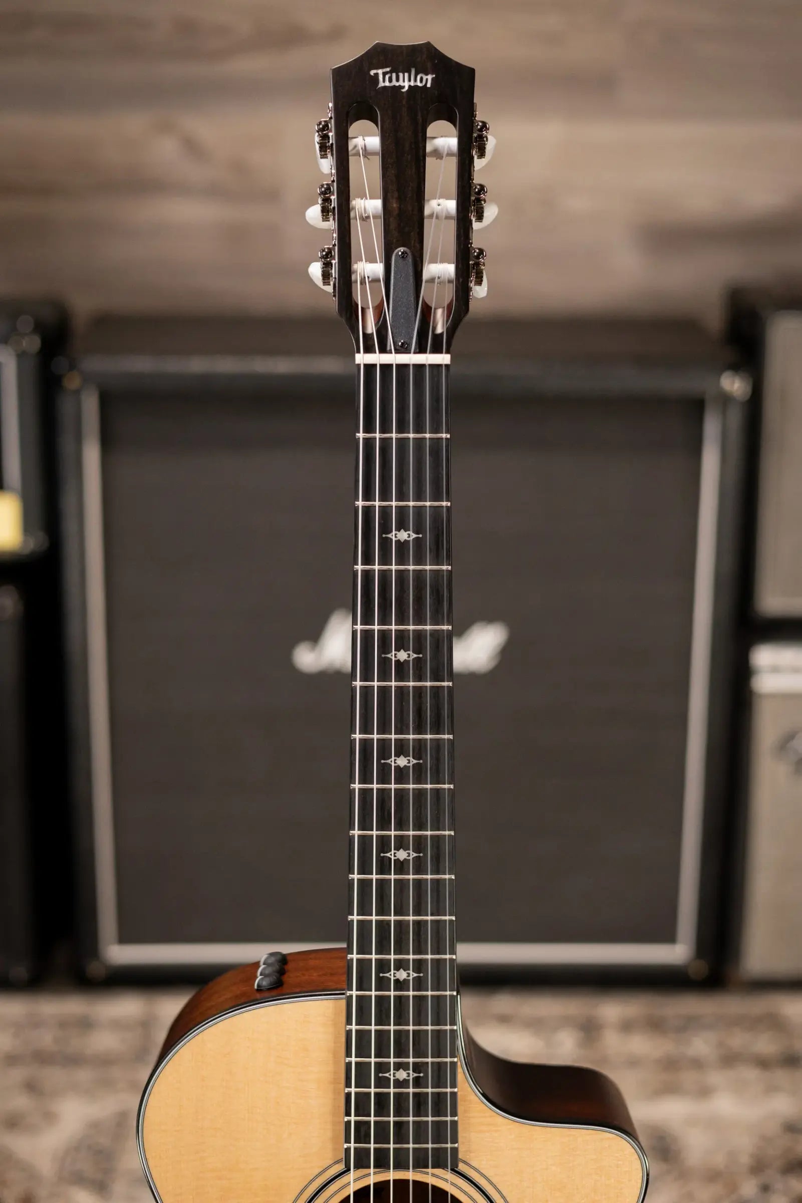 Taylor 312ce-N Nylon Grand Concert Acoustic/Electric Guitar with Hardshell Case