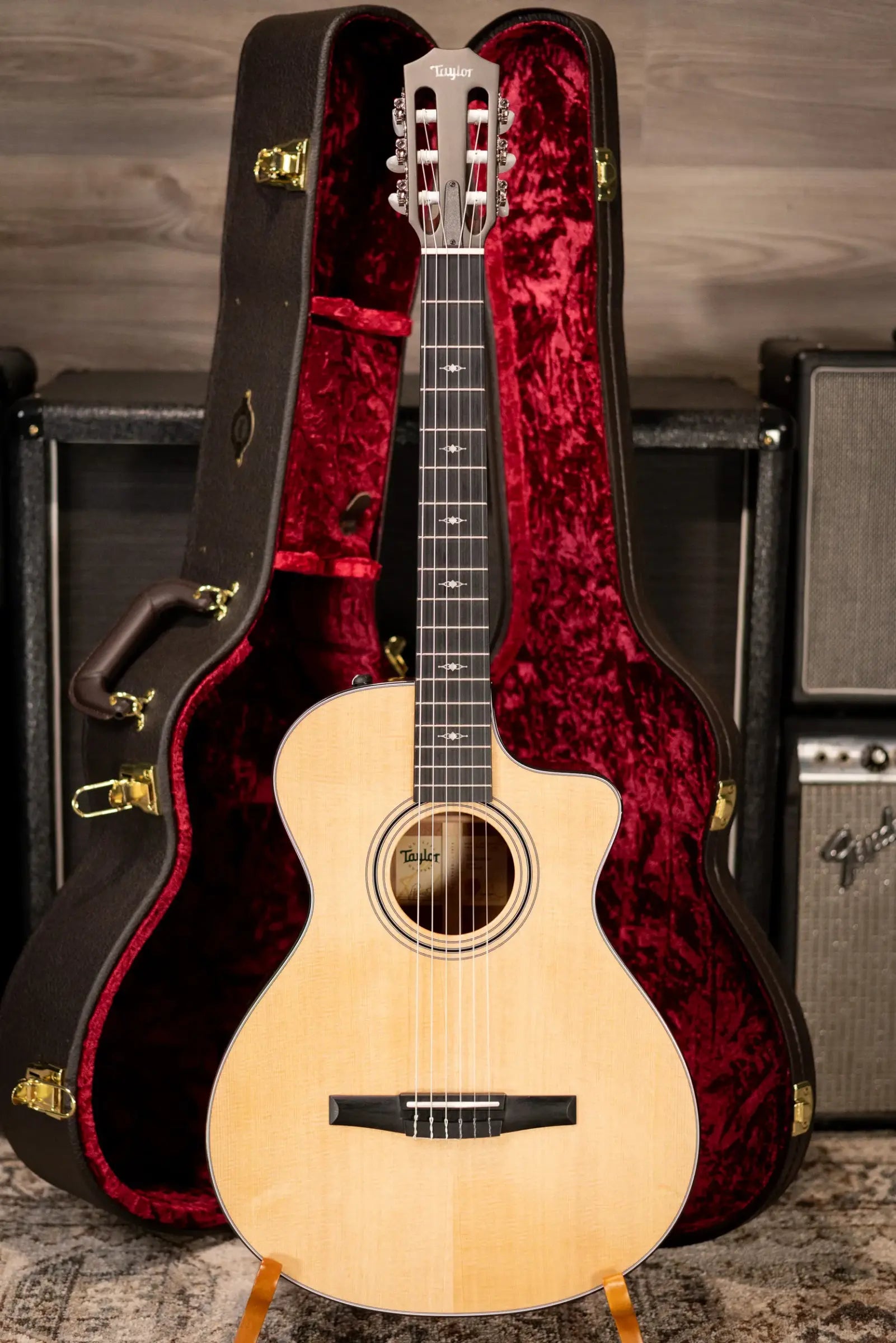 Taylor 312ce-N Nylon Grand Concert Acoustic/Electric Guitar with Hardshell Case