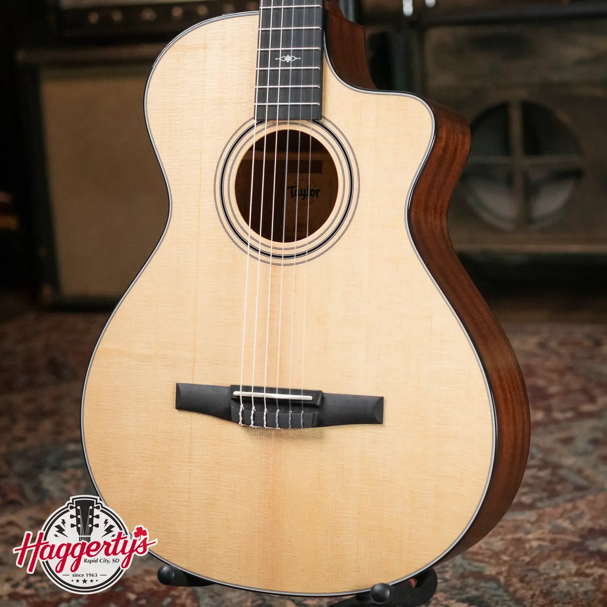Taylor 312ce-N Nylon Grand Concert Acoustic/Electric with Hardshell Case