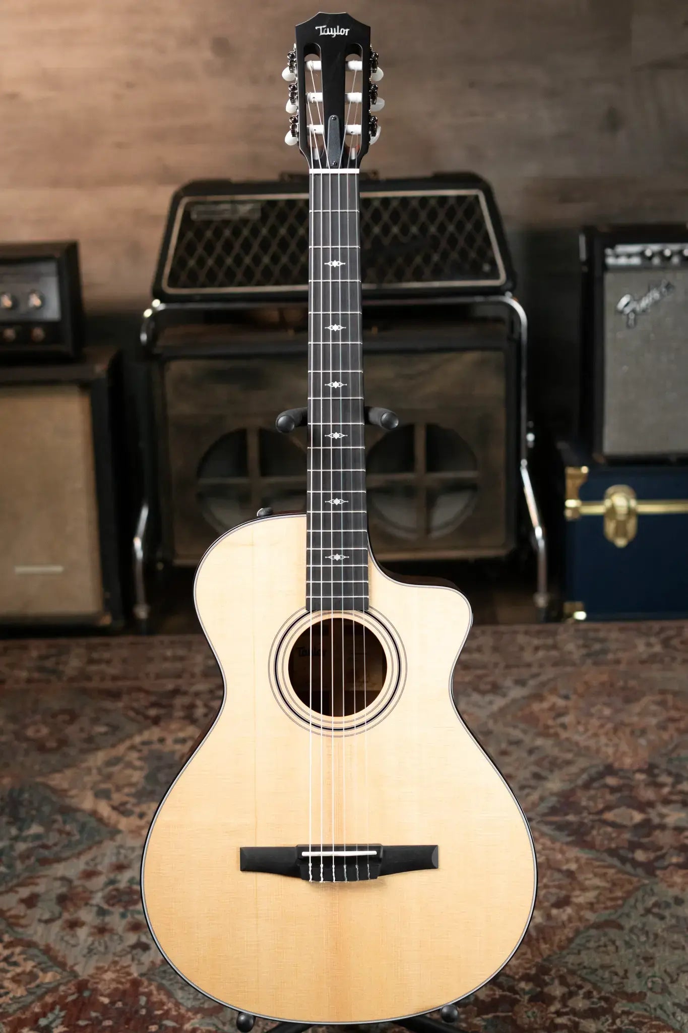 Taylor 312ce-N Nylon Grand Concert Acoustic/Electric with Hardshell Case