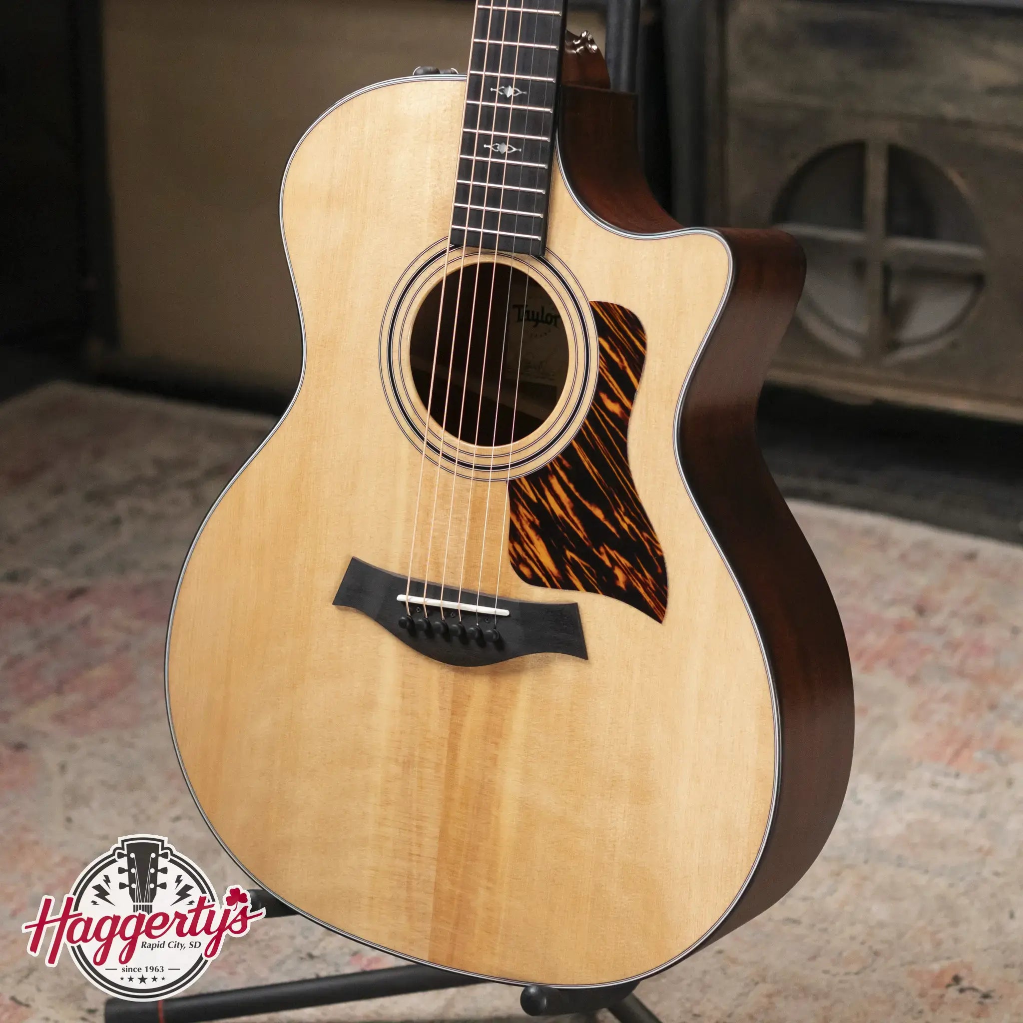 Taylor 314ce Grand Auditorium Acoustic/Electric Guitar with Hardshell Case