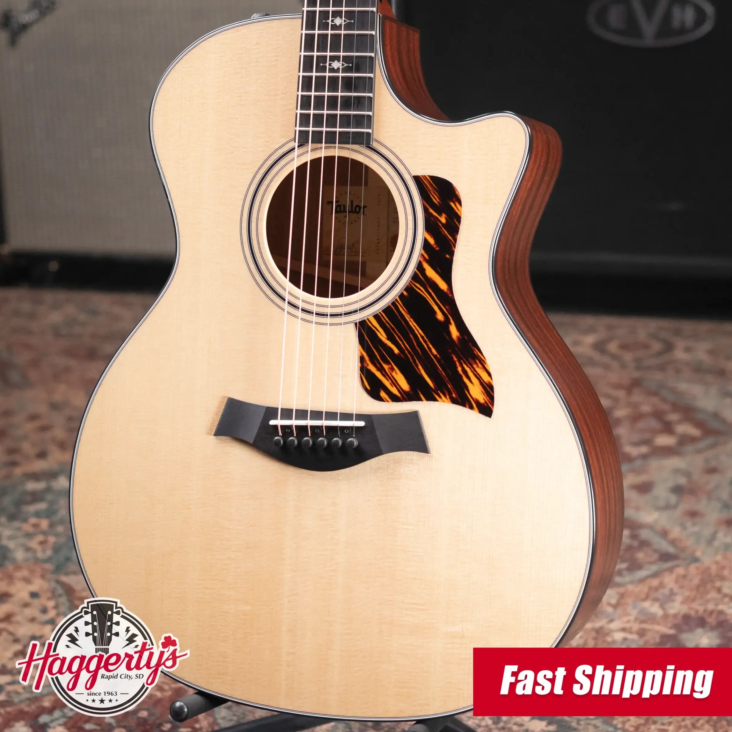 Taylor 314ce Grand Auditorium Acoustic/Electric Guitar with Hardshell Case