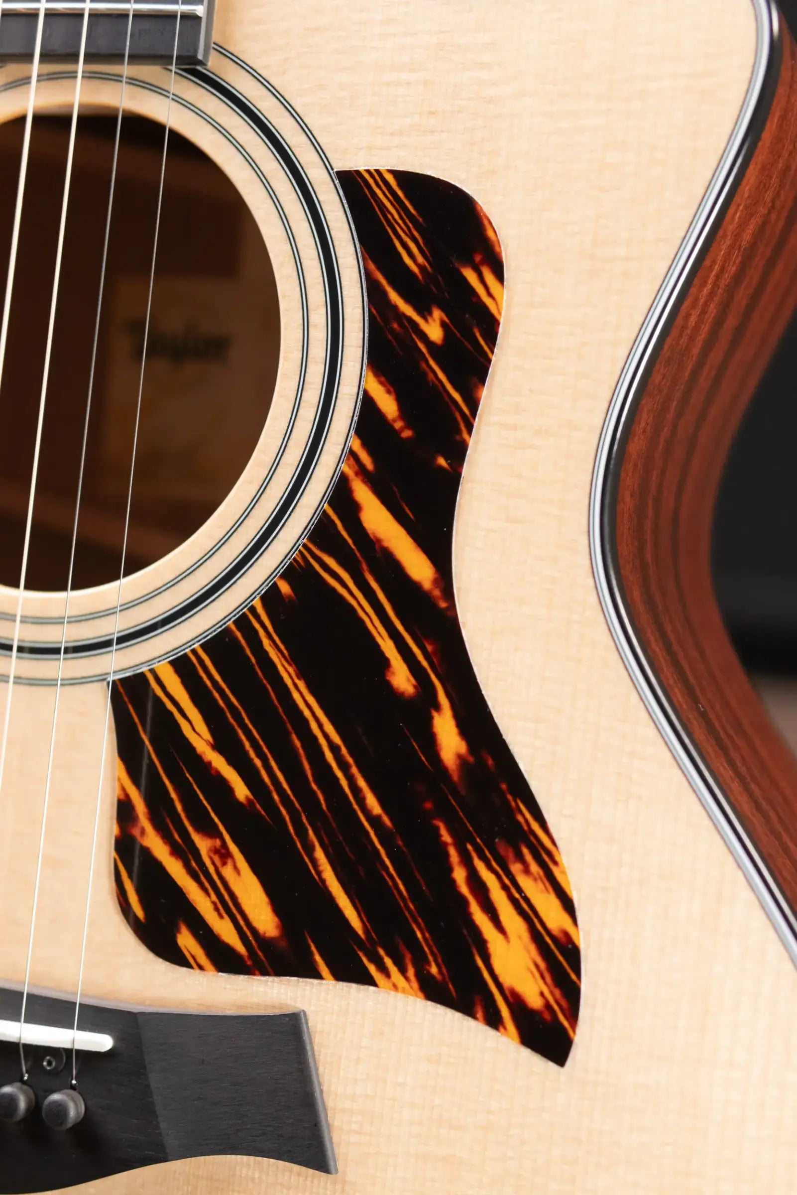 Taylor 314ce Grand Auditorium Acoustic/Electric Guitar with Hardshell Case