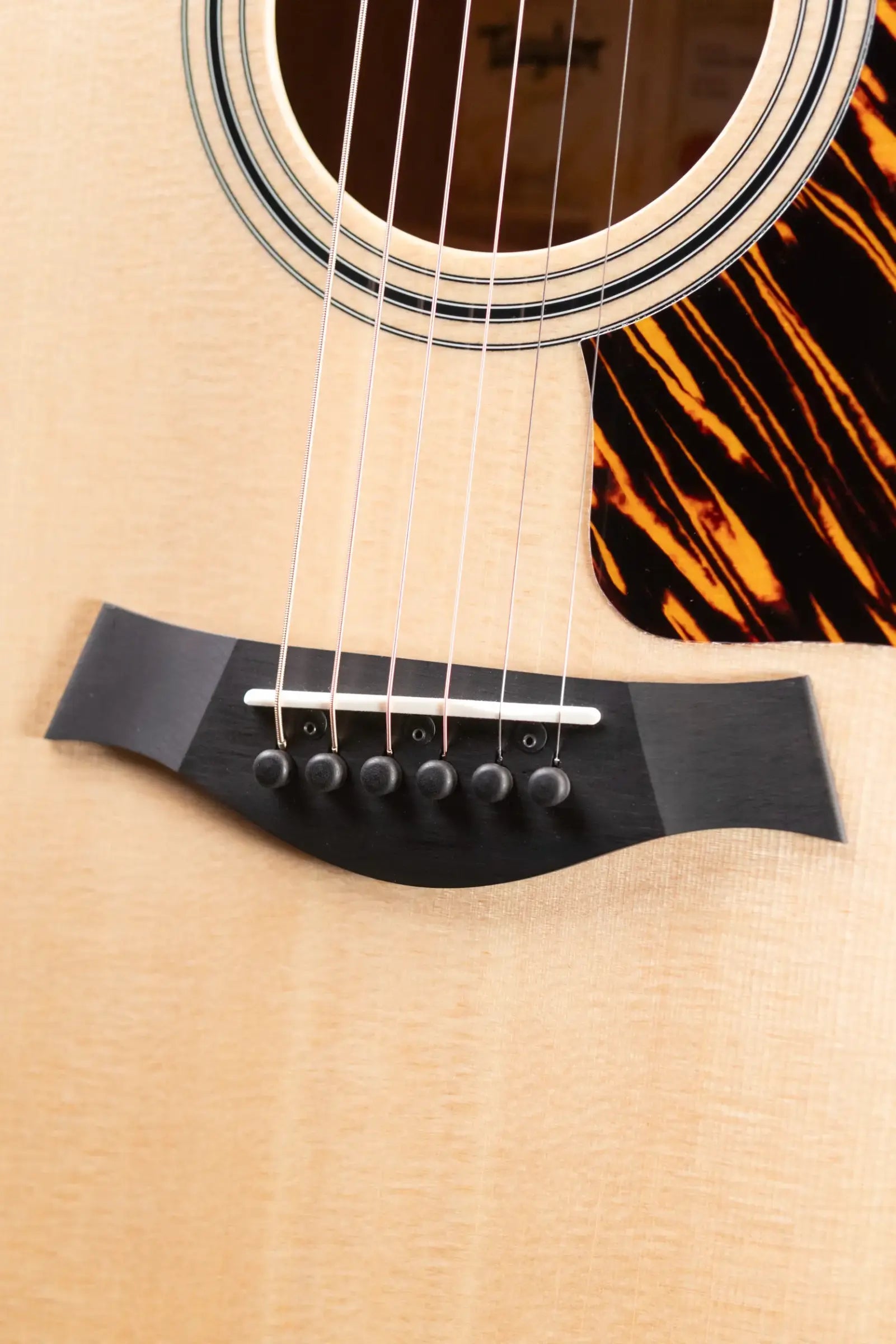 Taylor 314ce Grand Auditorium Acoustic/Electric Guitar with Hardshell Case