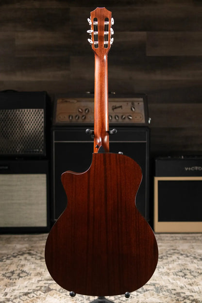 Taylor 314ce-N Grand Auditorium Nylon Acoustic/Electric Guitar with Hardshell Case