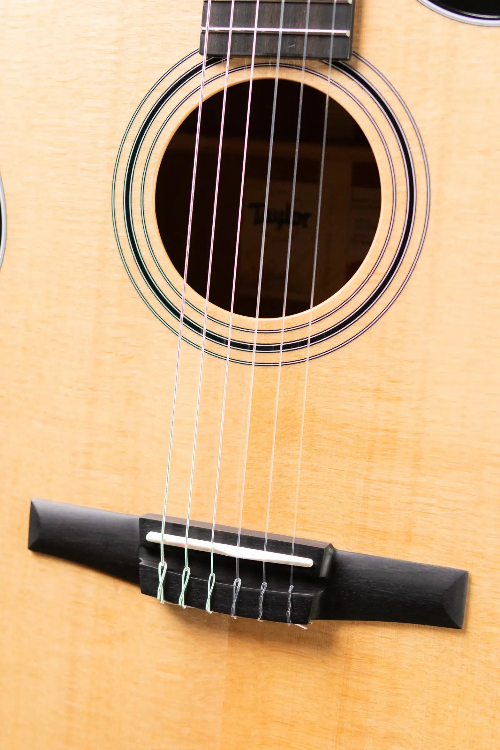 Taylor 314ce-N Grand Auditorium Nylon Acoustic/Electric Guitar with Hardshell Case