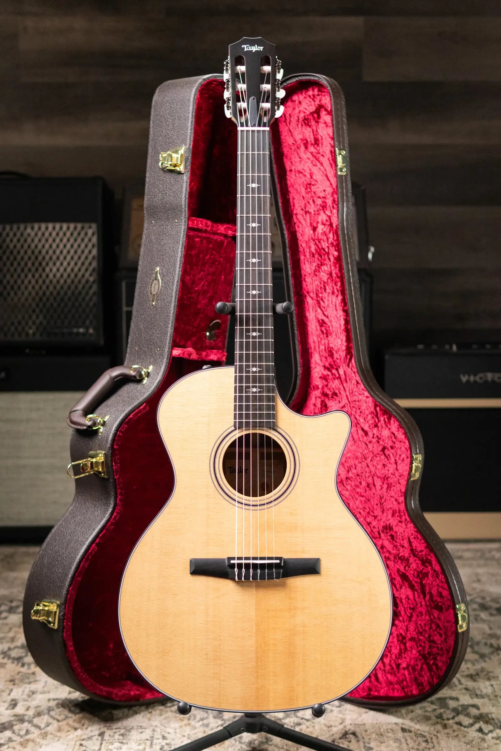 Taylor 314ce-N Grand Auditorium Nylon Acoustic/Electric Guitar with Hardshell Case