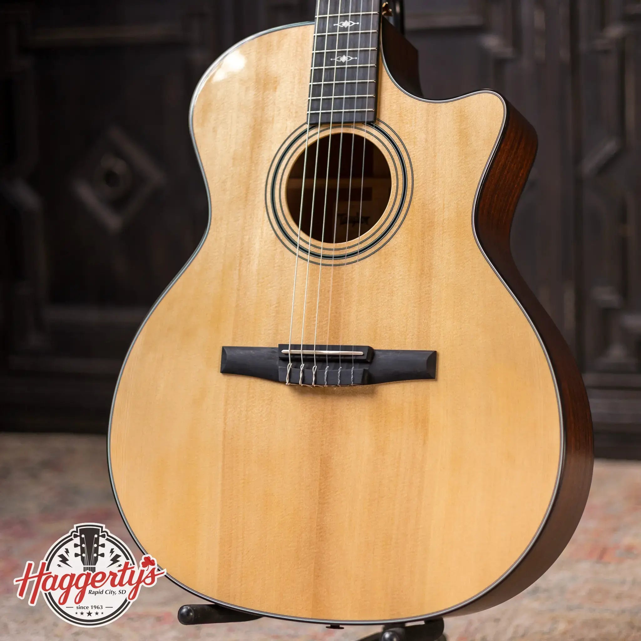 Taylor 314ce-N Nylon Grand Auditorium Acoustic/Electric with Hardshell Case